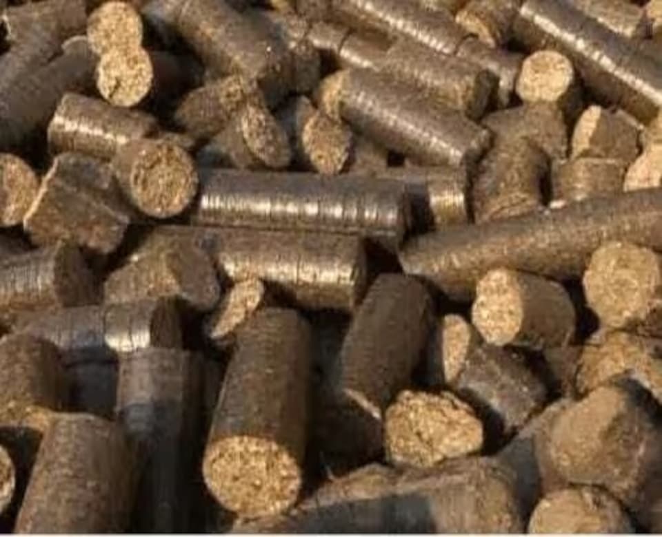 Biofuel importance