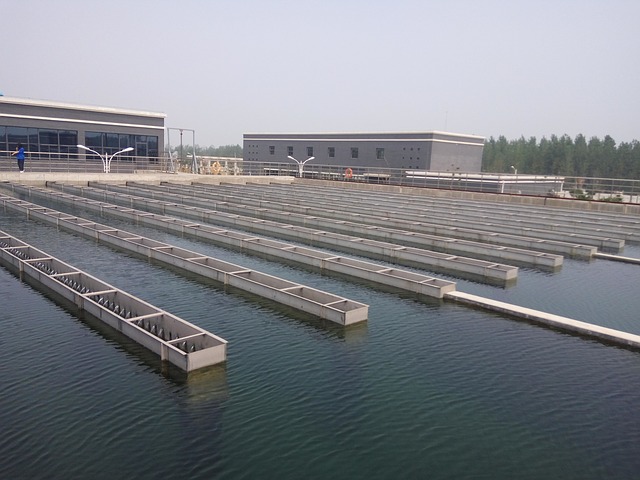 5 Common Applications of a Water Treatment Plant
