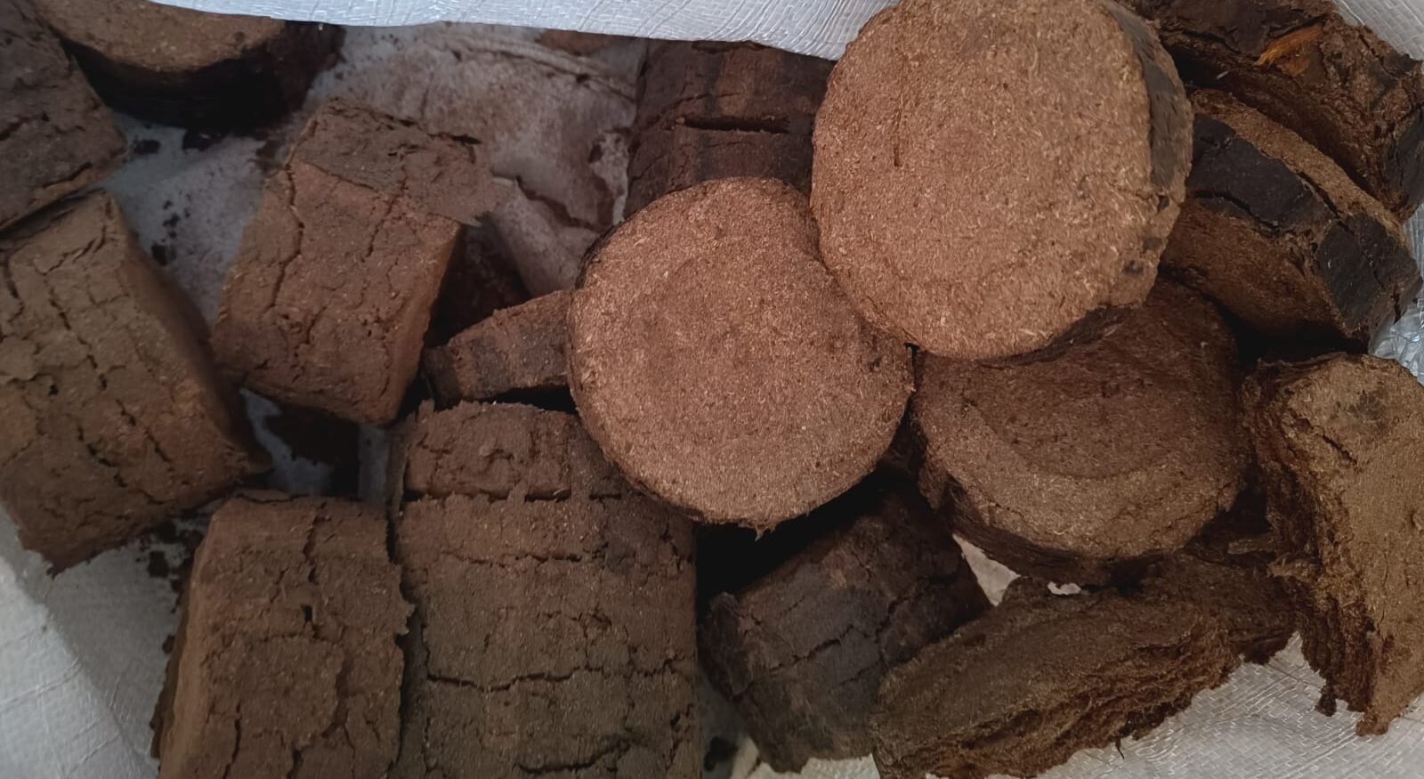 Biomass Briquettes